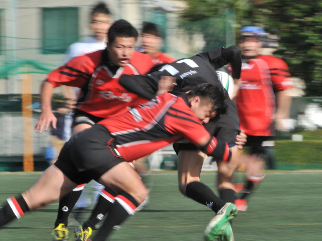 img0008.jpg