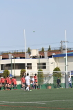 img0003.jpg