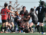 img0029.jpg