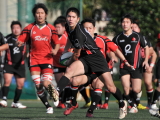 img0037.jpg