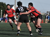 img0051.jpg