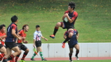 img0016.jpg