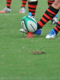 img0153.jpg