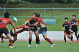 img0167.jpg