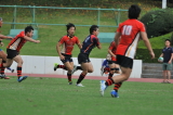 img0217.jpg
