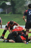 img0245.jpg