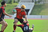 img0268.jpg